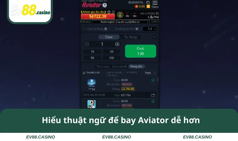 Hiểu thuật ngữ để bay Aviator dễ hơn