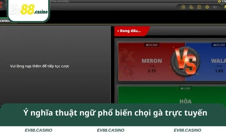 Ý nghĩa thuật ngữ phổ biến chọi gà trực tuyến