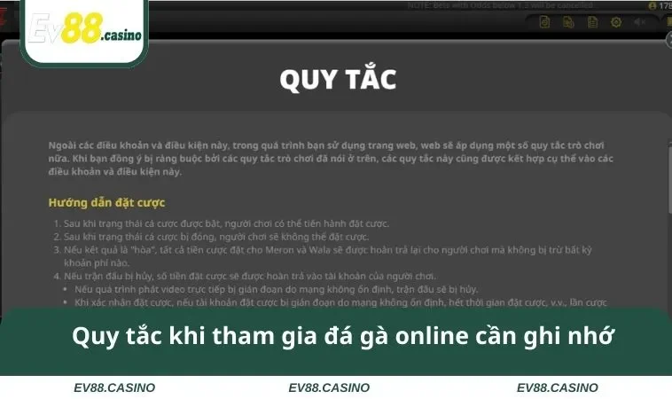 Quy tắc khi tham gia đá gà online cần ghi nhớ