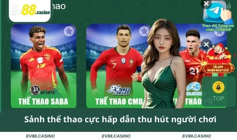 Sảnh thể thao cực hấp dẫn thu hút người chơi